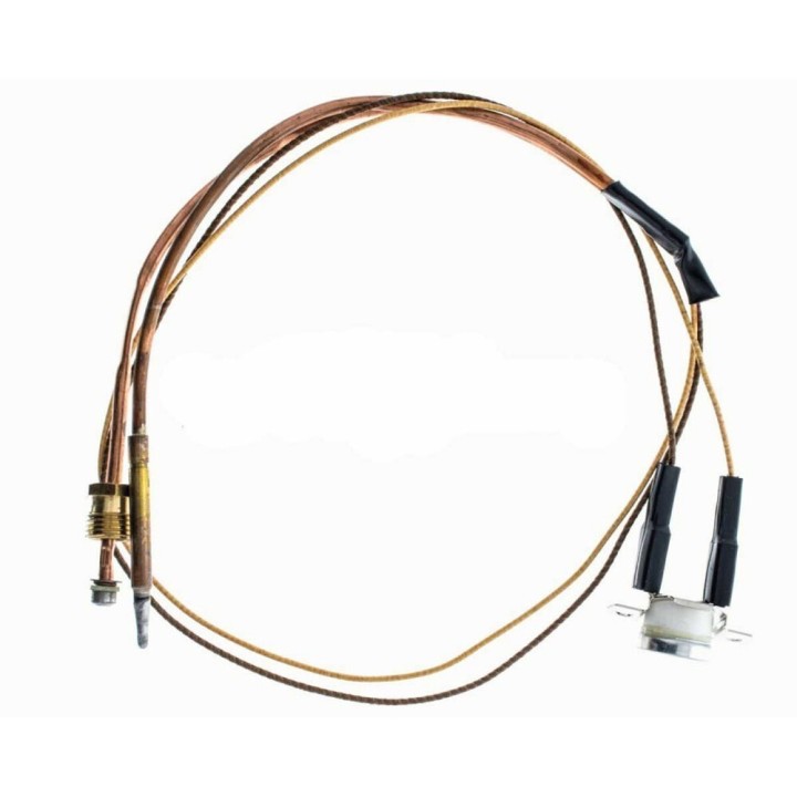 Chaffoteux Kessel-Thermoelement Mit Sicherheit 110C 6010034230