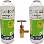 2 Bottles Gas Ecologico Gasica 226gr D2 + Valvula Surrogate R12, R134A Freeze Organico