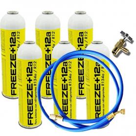 6 Freeze + 12A 420gr + Valve Ecological Gas Bottles + ORGANIC ORGANIC HOSE R12, R134A