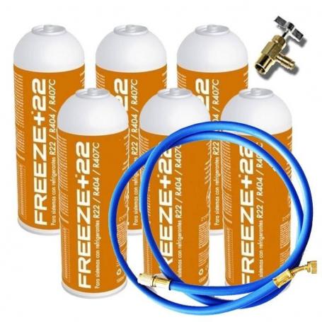 6 Freeze + 22gr Freeze Ecological Gas Ecological Bottles