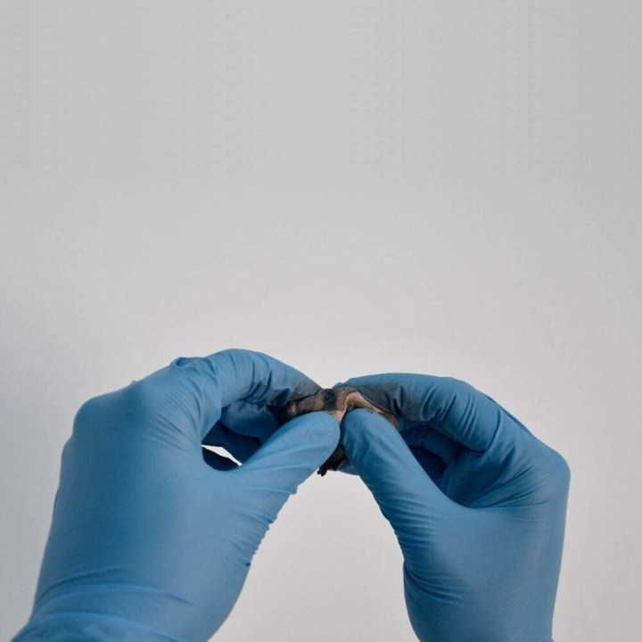 Mastic Externe D’Étanchéité Jusqu’À 5 Mm