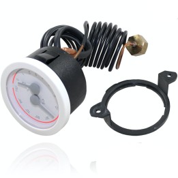 Thermomanomètre Chaudière Chaffoteux 6008410A3