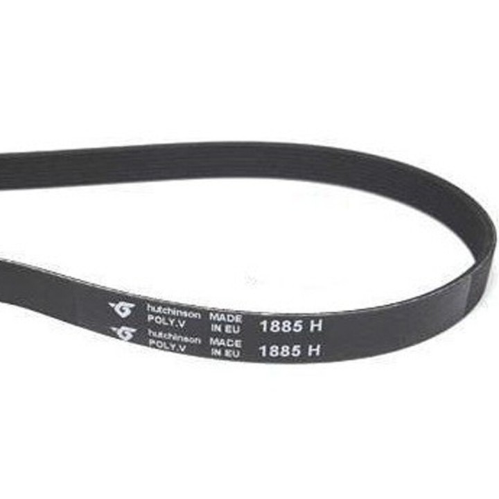 Hutchinson 1885 H Trocknerband