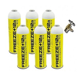 6 Bombole Congelamento +12A Gas Refrigerante 420Gr + Valvola Sostitutiva Organica R12, R134A