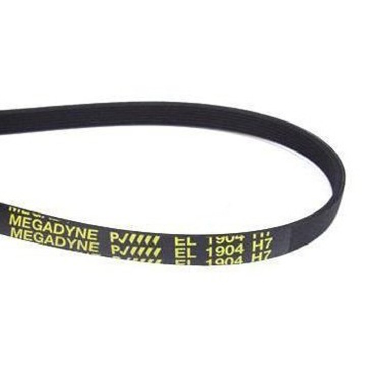Whirlpool Megadyne 1904 H7 Cintura Elastica Lavaggio
