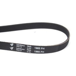 Whirlpool 1965 H6 Bande De Sécheuse 481235818186