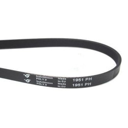 Whirlpool 1951 H7 Ceinture De Sécheuse 481235818156
