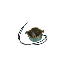 Microwave Motor 4W 5Rpm
