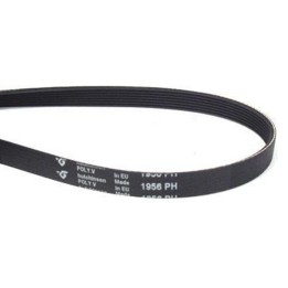 Dryer Belt 1956 H7 00117448, 2962470100, 481281718172