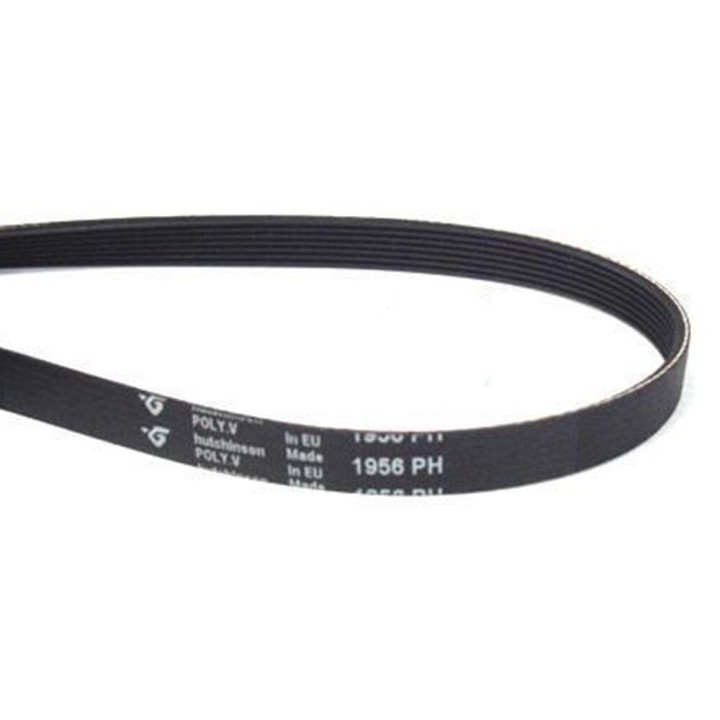 Trocknerband 1956 H7 00117448, 2962470100, 481281718172
