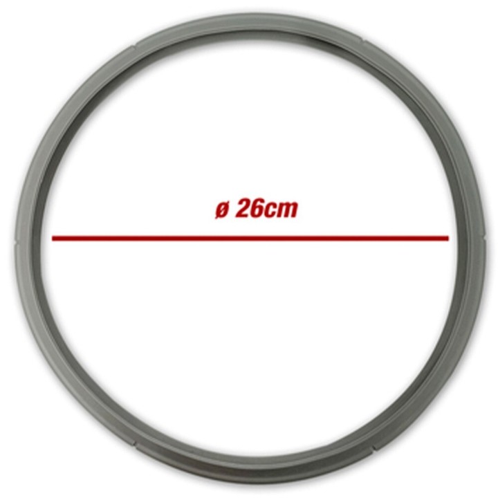 Fissler Express Guarnizione Pentola 26 Cm 60000026795 Grigio
