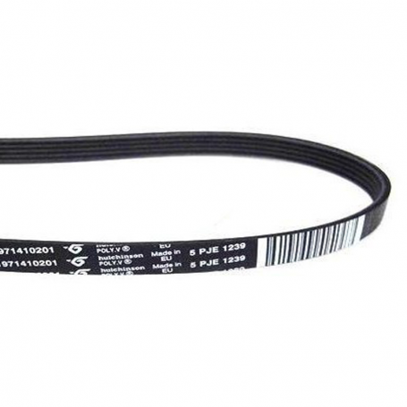 Whirlpool Washing Belt 1239 J5 Elastica 481235818215