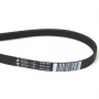 Lavatrice 1201-1198 J6 Elastica C00119126 Originale