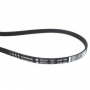 Whirlpool -Waschgürtel 1236 J4 The 481235818206 Original
